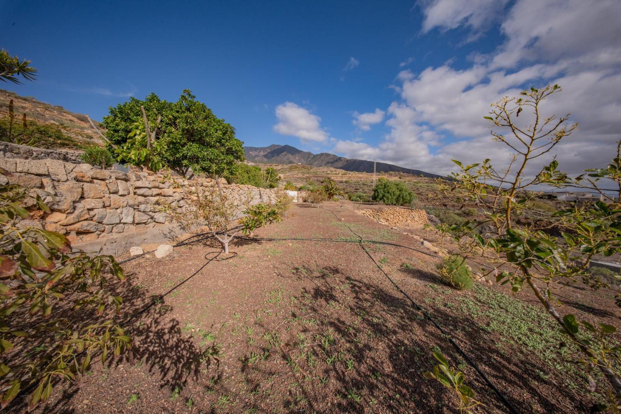 Casa Rural Buda Terra Santa Cruz de Tenerife Exteriér fotografie