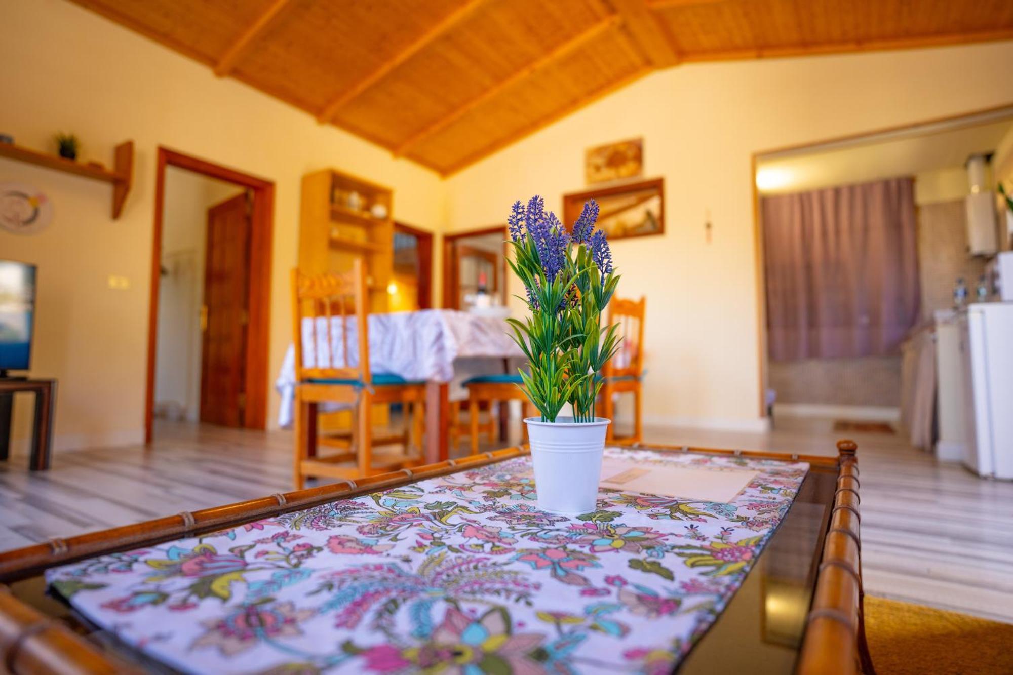 Casa Rural Buda Terra Santa Cruz de Tenerife Exteriér fotografie